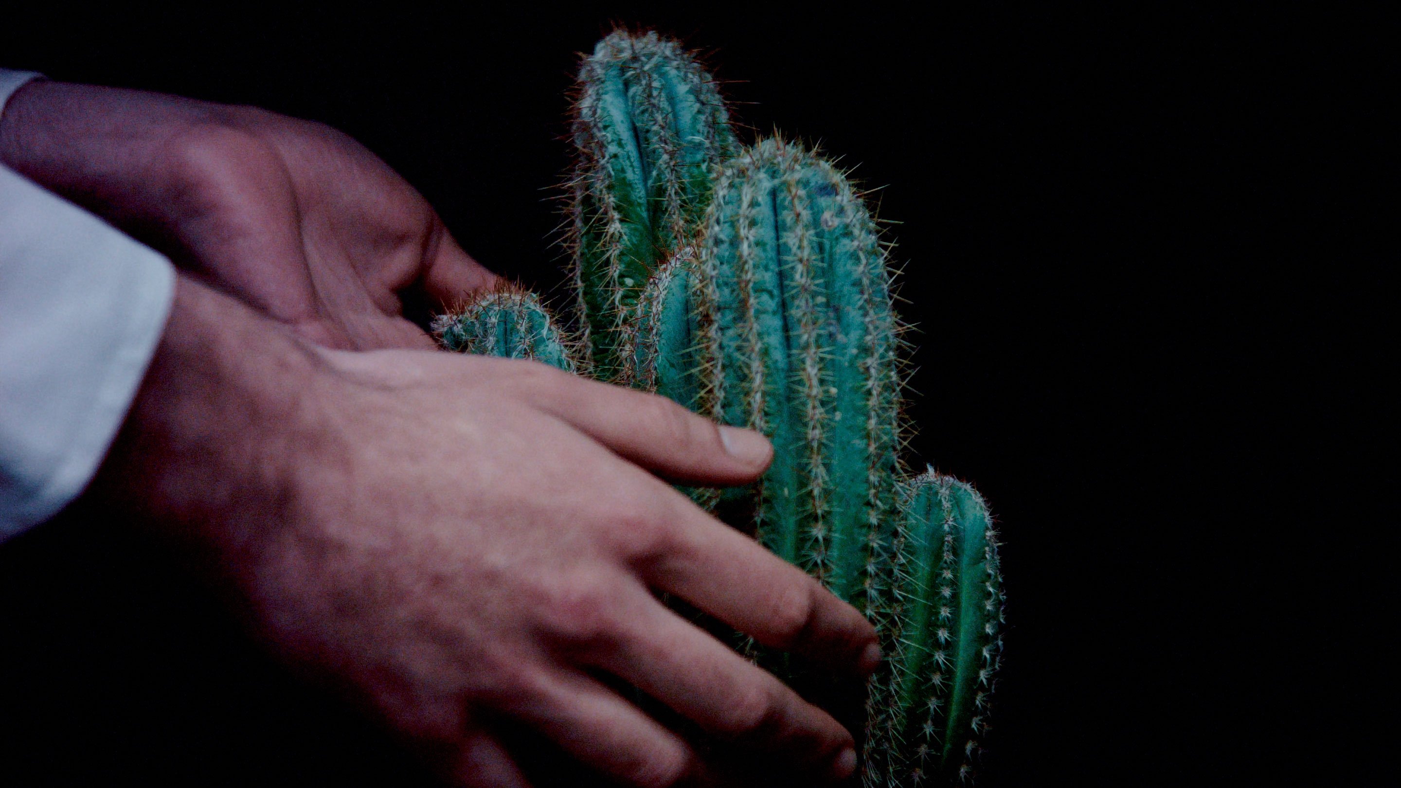 A film ‘Blackness reflects Lightness. I see its figure. Nothingness doesn’t mean Darkness.’ by Shigeo Arikawa, Japanese artist based in Amsterdam. アムステルダム在住の日本人アーティスト、有川滋男による映像作品「Blackness reflects Lightness. I see its figure. Nothingness doesn’t mean Darkness.」