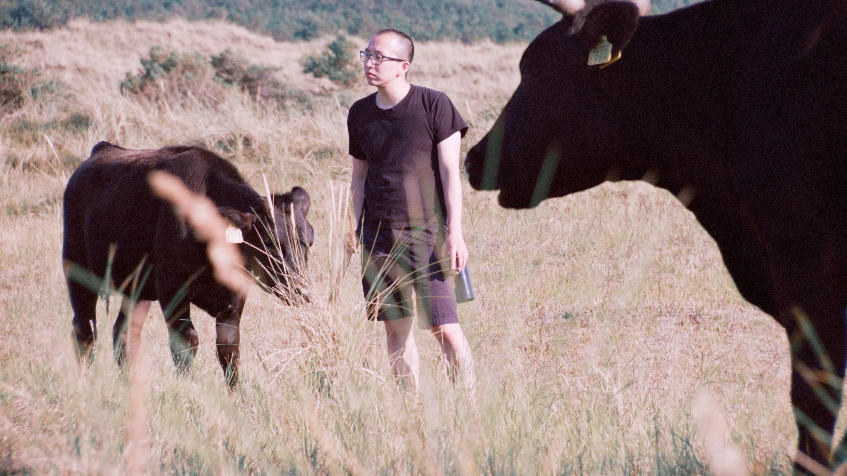 A film ‘Strange Bells’ by Shigeo Arikawa, Japanese artist based in Amsterdam. アムステルダム在住の日本人アーティスト、有川滋男による映像作品「Strange Bells」