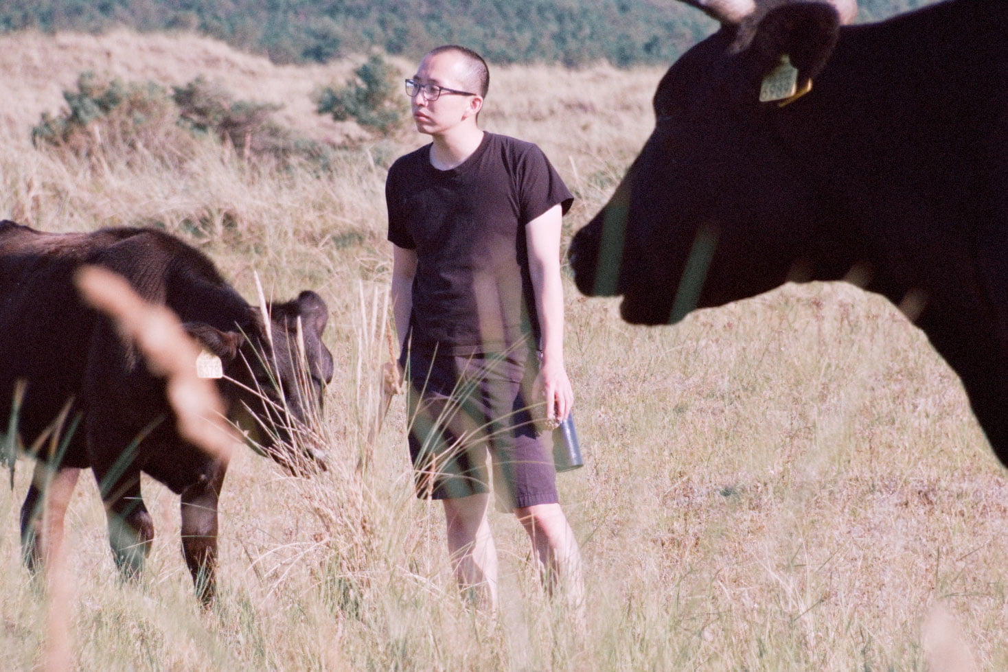 A film ‘Strange Bells’ by Shigeo Arikawa, Japanese artist based in Amsterdam. アムステルダム在住の日本人アーティスト、有川滋男による映像作品「Strange Bells」