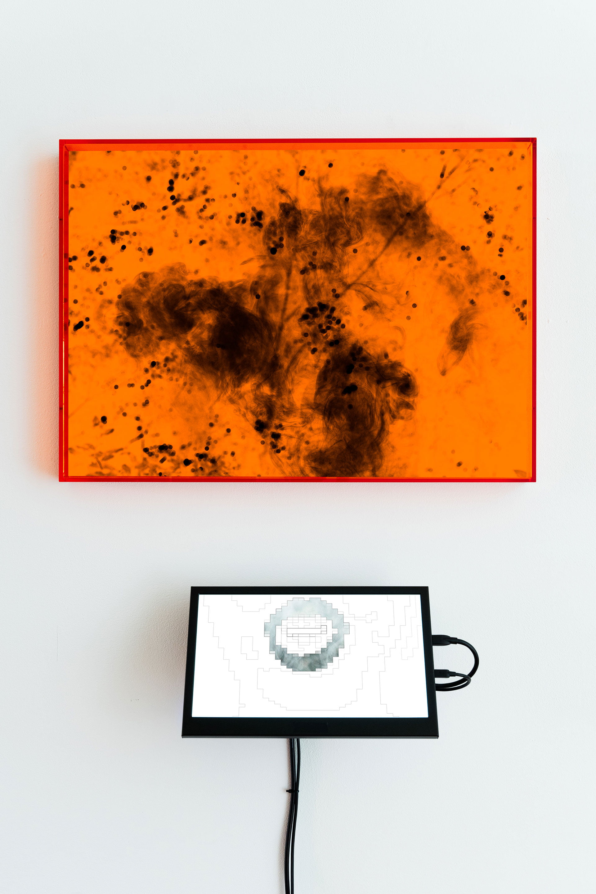 A photograph work ‘VOICEOVER’ by Shigeo Arikawa, Japanese artist based in Amsterdam. アムステルダム在住の日本人アーティスト、有川滋男による写真作品「VOICEOVER」