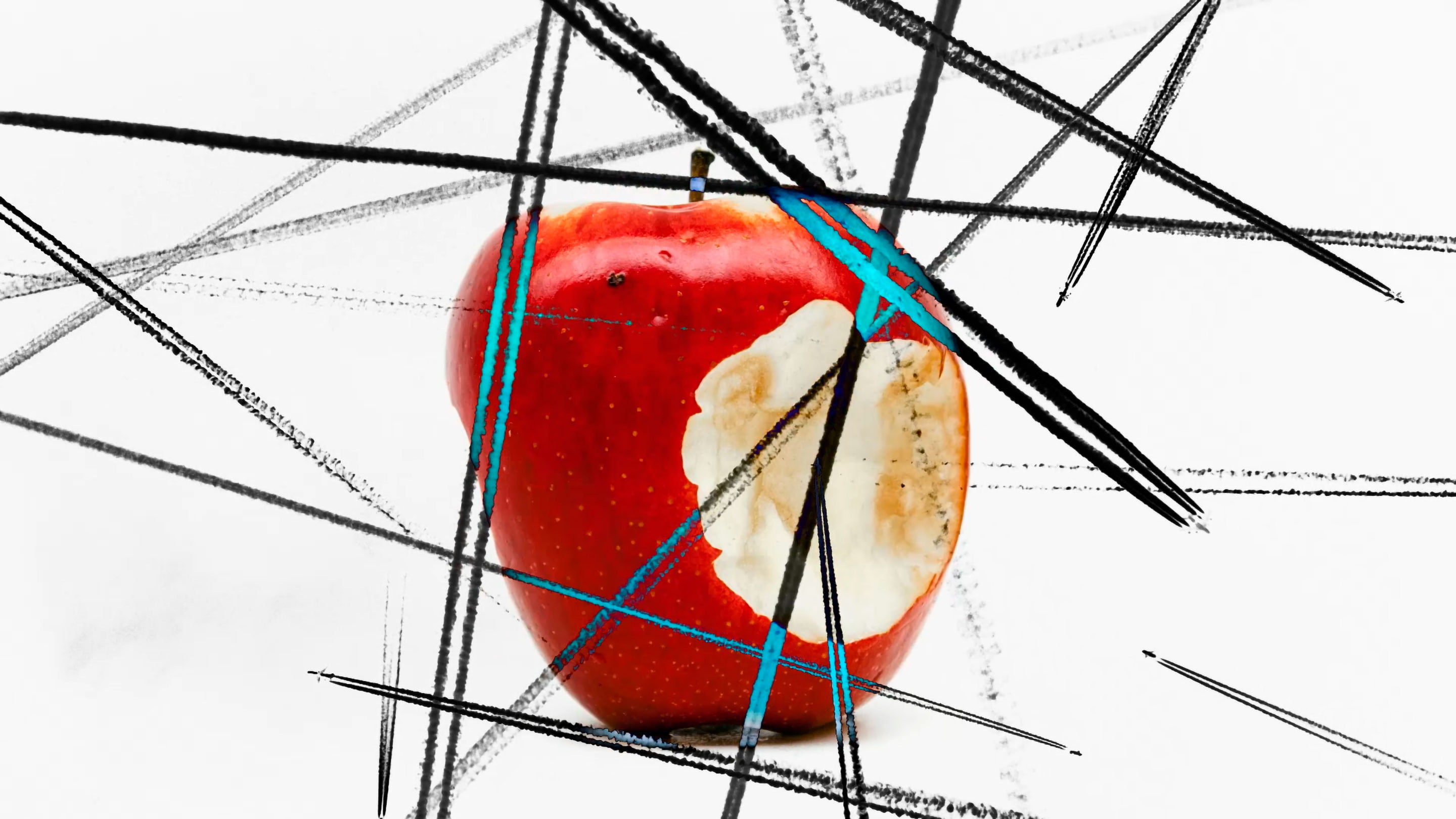 A video installation work ‘ Blue is the color of what you saw.’ by Shigeo Arikawa, Japanese artist based in Amsterdam. アムステルダム在住の日本人アーティスト、有川滋男によるビデオインスタレーション作品「青は視た色」