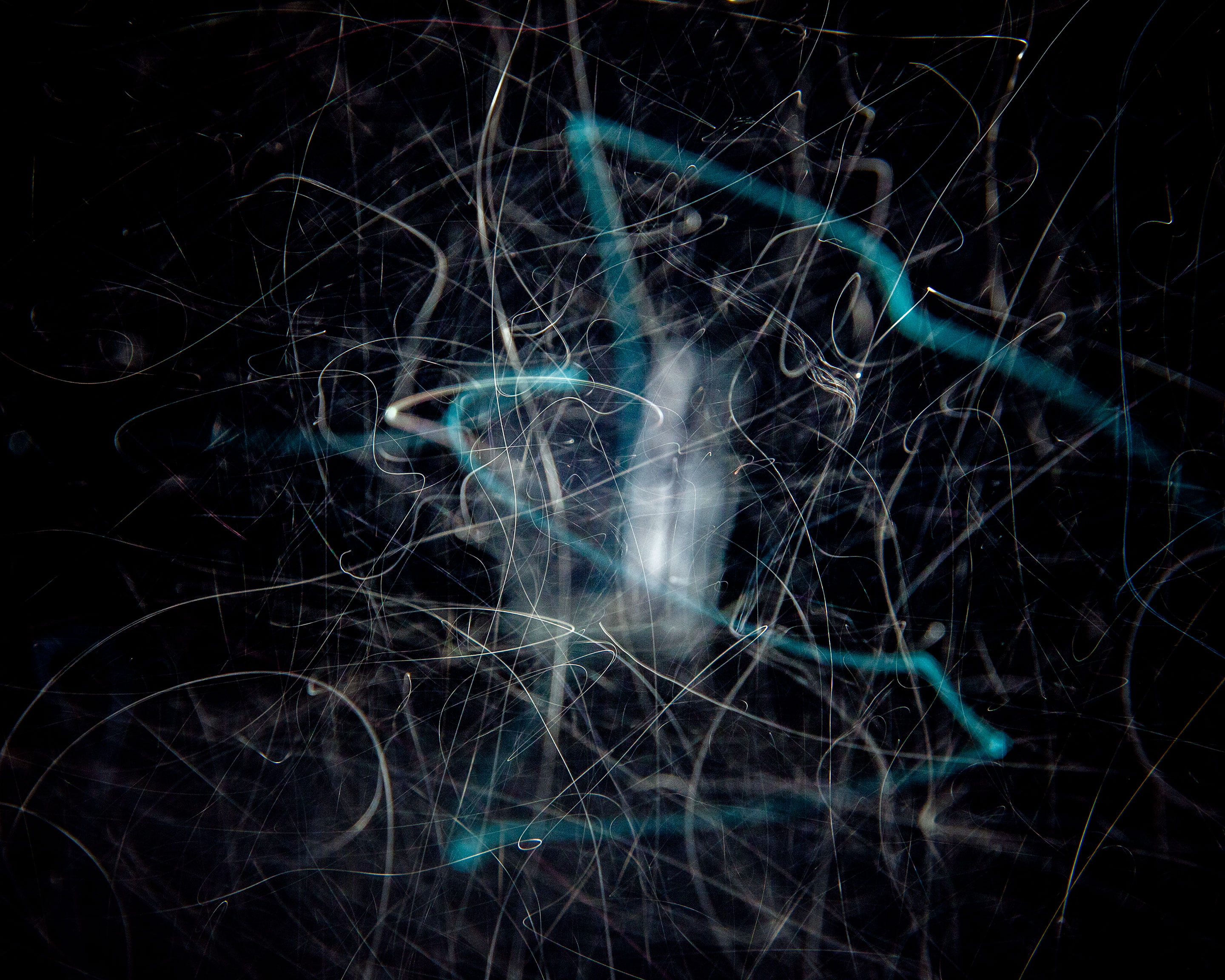 A photograph work ‘Dust of Time (in the dining)’ by Shigeo Arikawa, Japanese artist based in Amsterdam. アムステルダム在住の日本人アーティスト、有川滋男による写真作品「Dust of Time (in the dining)」