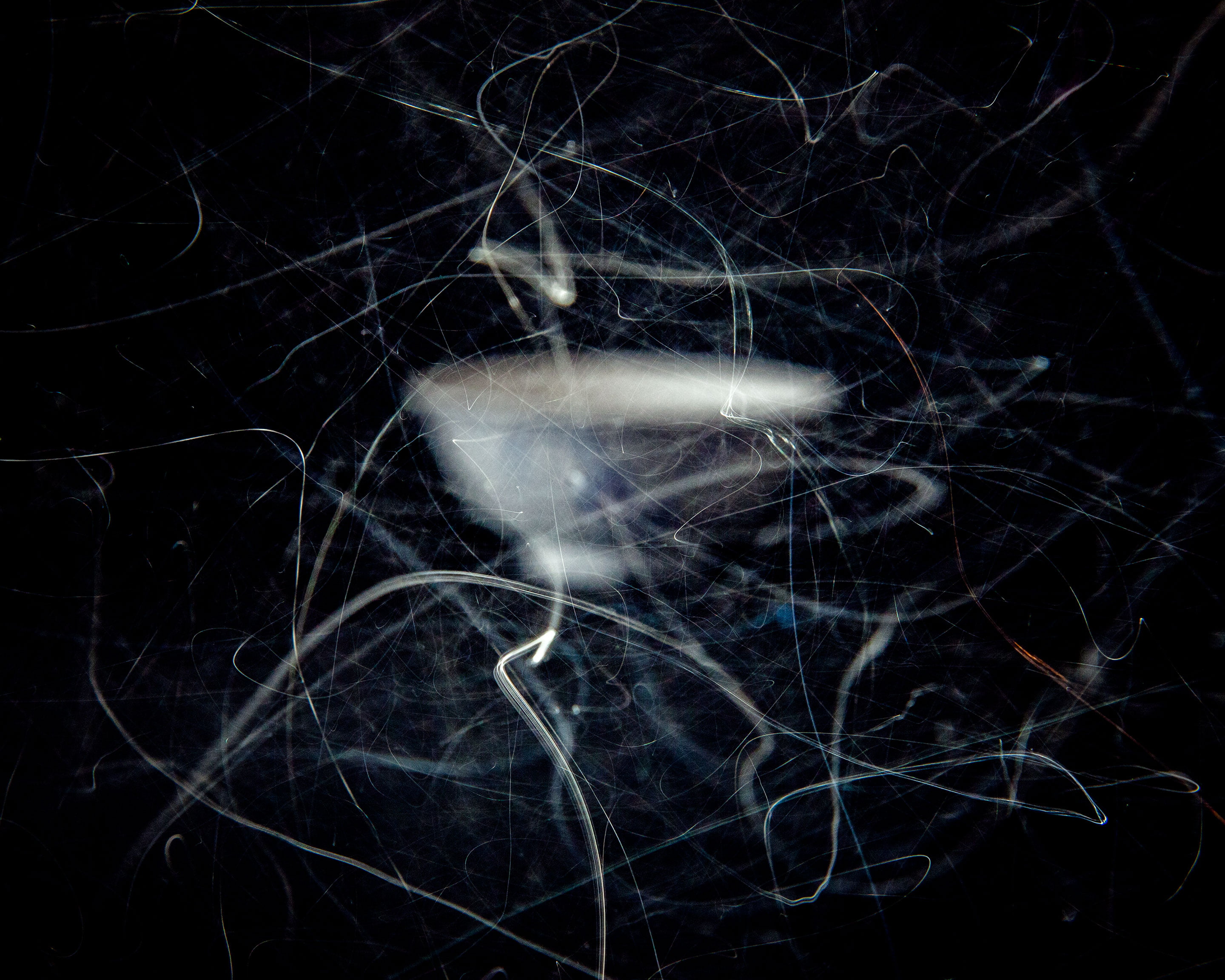 A photograph work ‘Dust of Time (in the dining)’ by Shigeo Arikawa, Japanese artist based in Amsterdam. アムステルダム在住の日本人アーティスト、有川滋男による写真作品「Dust of Time (in the dining)」