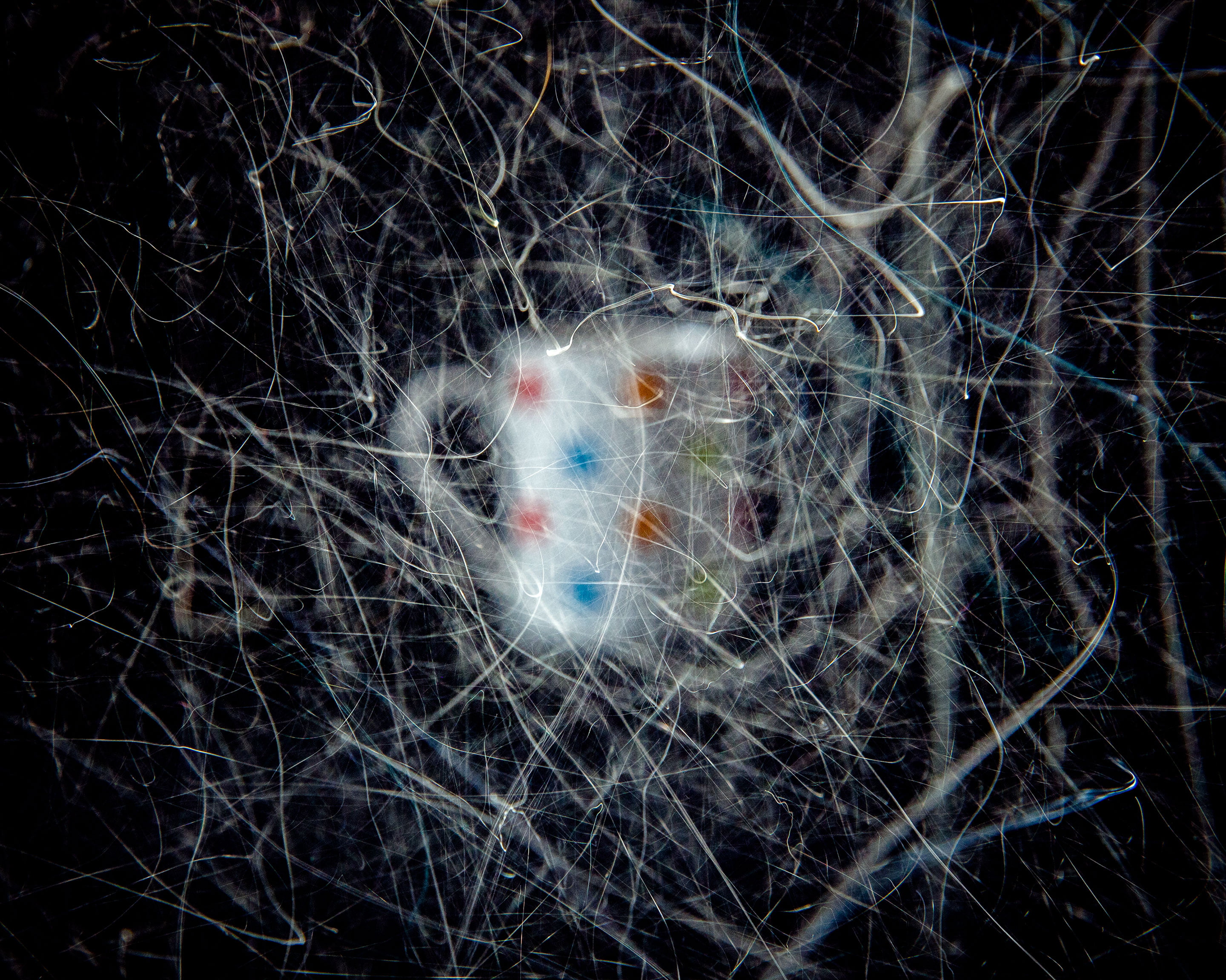 A photograph work ‘Dust of Time (in the dining)’ by Shigeo Arikawa, Japanese artist based in Amsterdam. アムステルダム在住の日本人アーティスト、有川滋男による写真作品「Dust of Time (in the dining)」