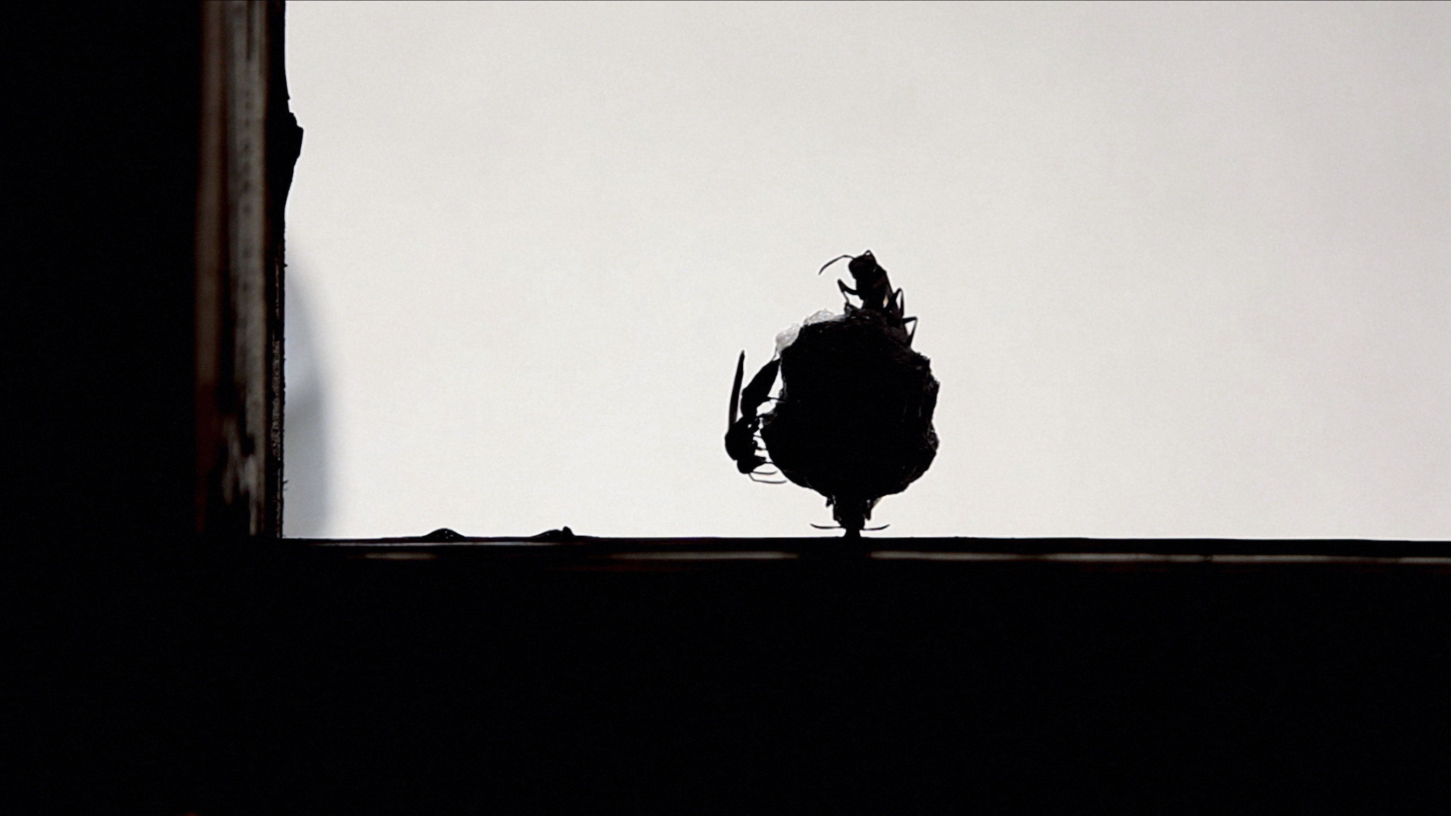 A film ‘IT HAS ALREADY BEEN ENDED BEFORE YOU CAN SEE THE END.’ by Shigeo Arikawa, Japanese artist based in Amsterdam. アムステルダム在住の日本人アーティスト、有川滋男による映像作品「IT HAS ALREADY BEEN ENDED BEFORE YOU CAN SEE THE END.」