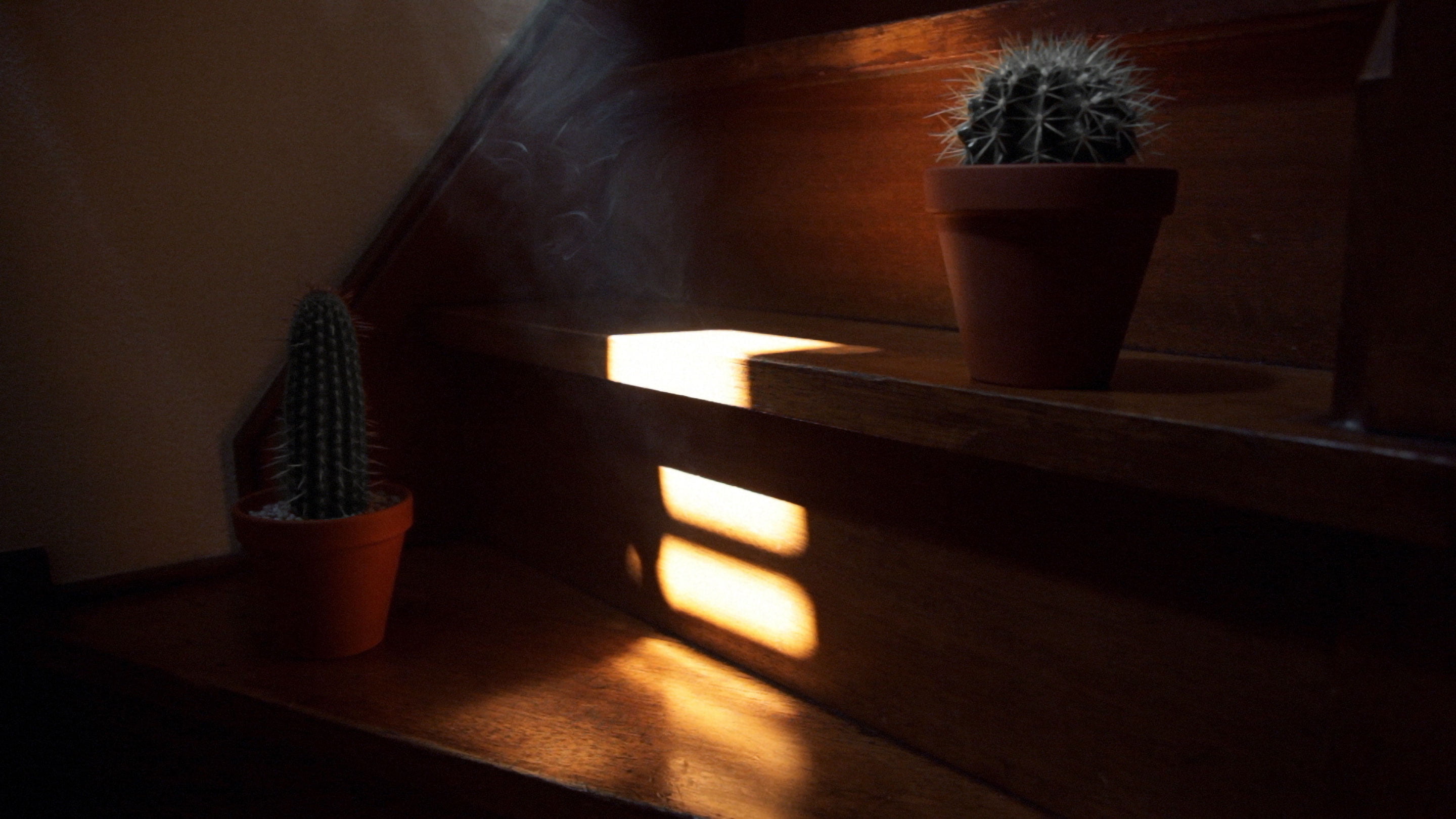 A film ‘IT HAS ALREADY BEEN ENDED BEFORE YOU CAN SEE THE END.’ by Shigeo Arikawa, Japanese artist based in Amsterdam. アムステルダム在住の日本人アーティスト、有川滋男による映像作品「IT HAS ALREADY BEEN ENDED BEFORE YOU CAN SEE THE END.」