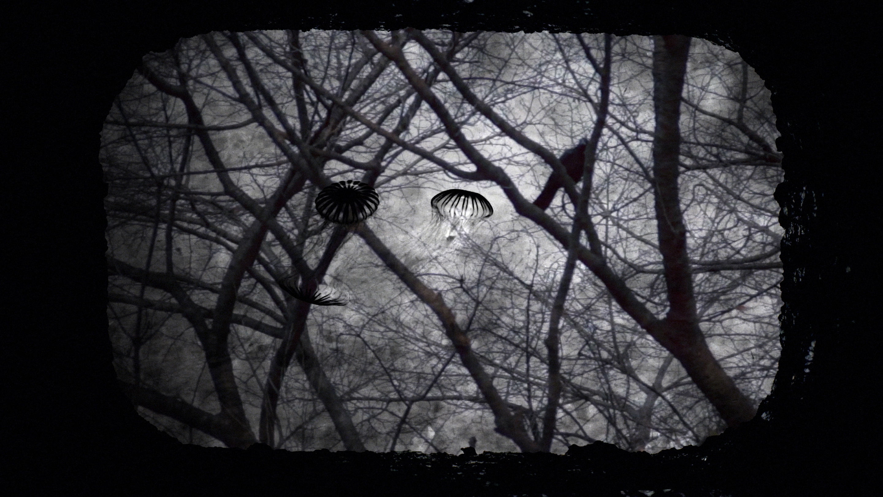 A film ‘IT HAS ALREADY BEEN ENDED BEFORE YOU CAN SEE THE END.’ by Shigeo Arikawa, Japanese artist based in Amsterdam. アムステルダム在住の日本人アーティスト、有川滋男による映像作品「IT HAS ALREADY BEEN ENDED BEFORE YOU CAN SEE THE END.」