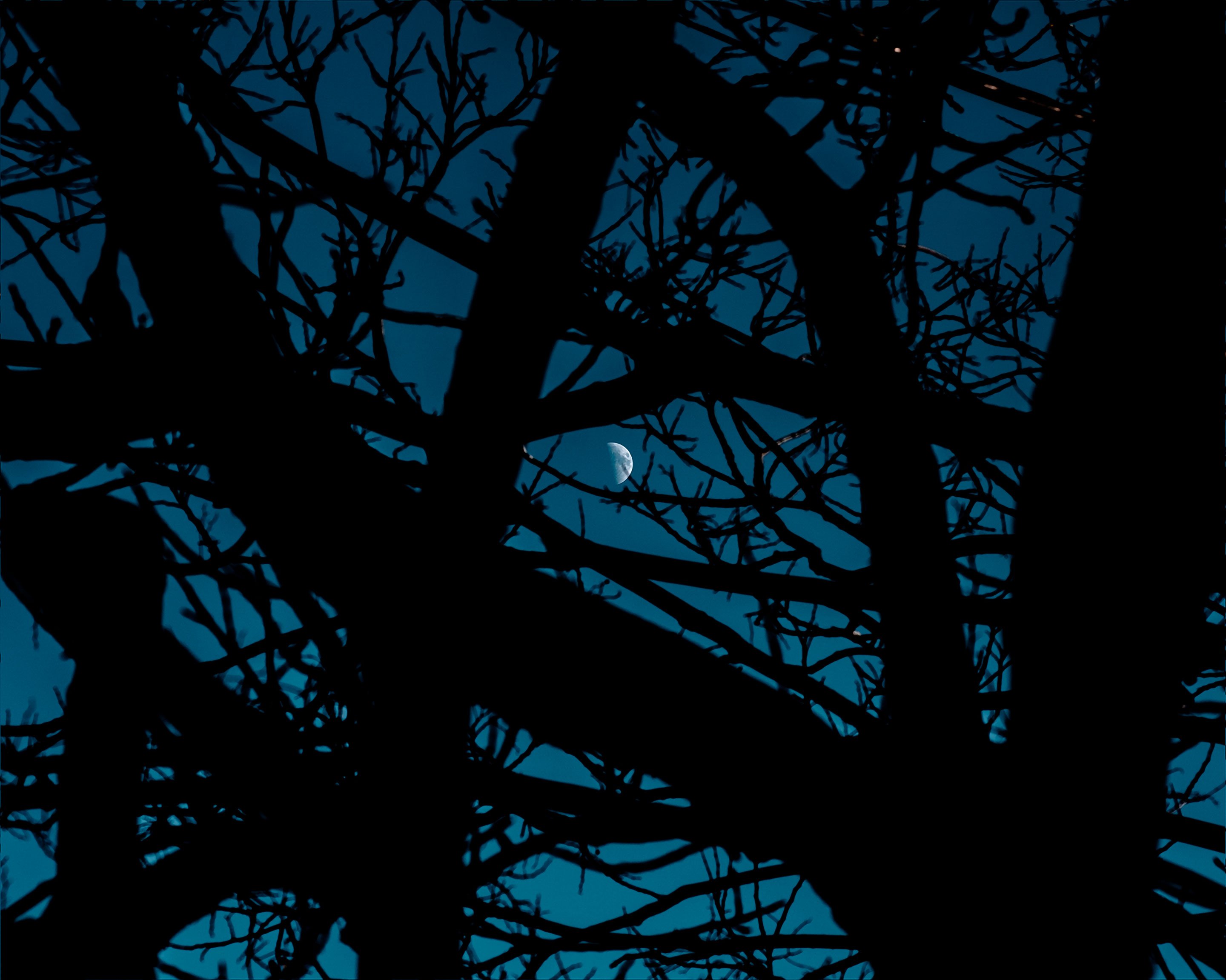 A photograph work ‘Positioning’ by Shigeo Arikawa, Japanese artist based in Amsterdam. アムステルダム在住の日本人アーティスト、有川滋男による写真作品「Positioning」