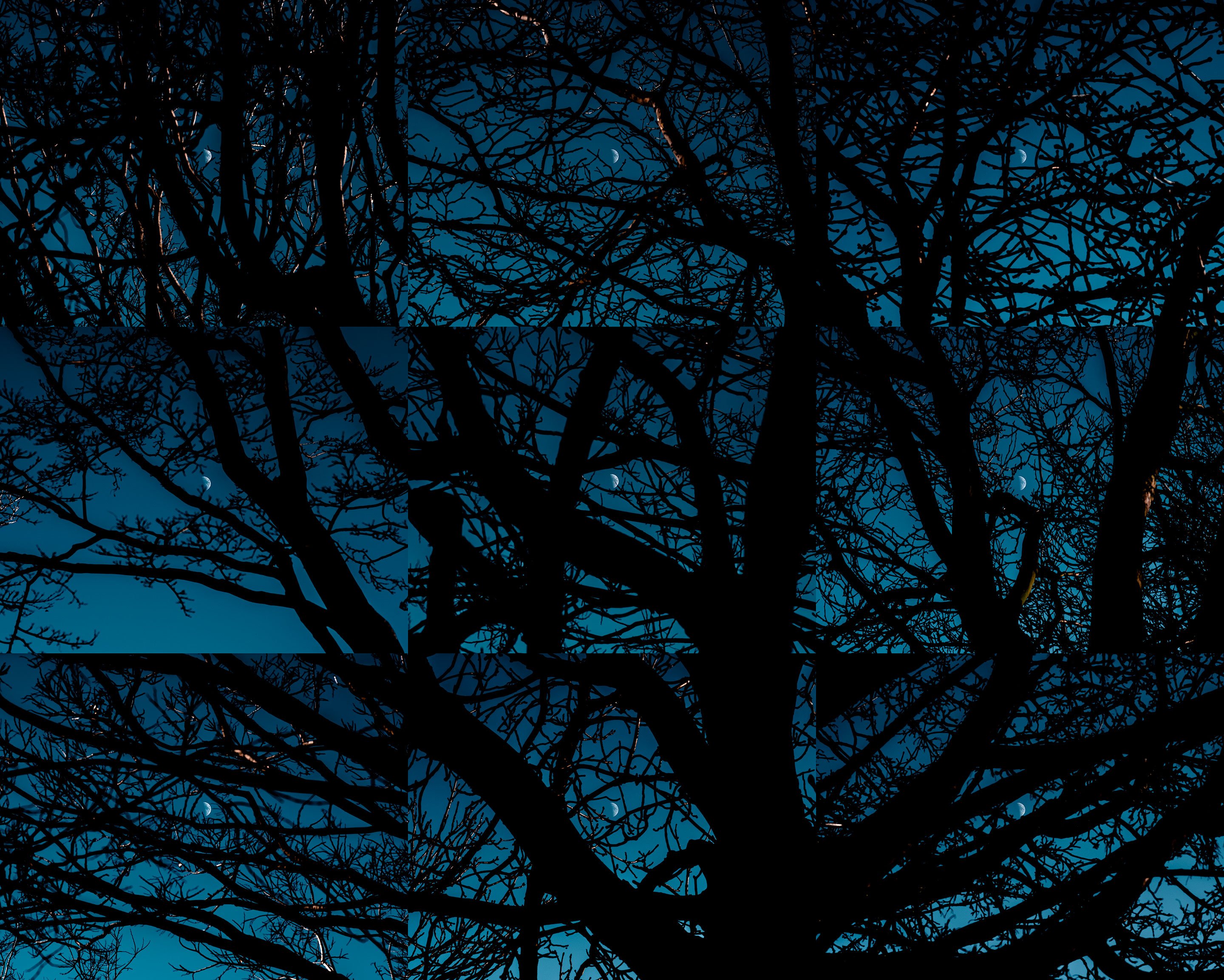 A photograph work ‘Positioning’ by Shigeo Arikawa, Japanese artist based in Amsterdam. アムステルダム在住の日本人アーティスト、有川滋男による写真作品「Positioning」