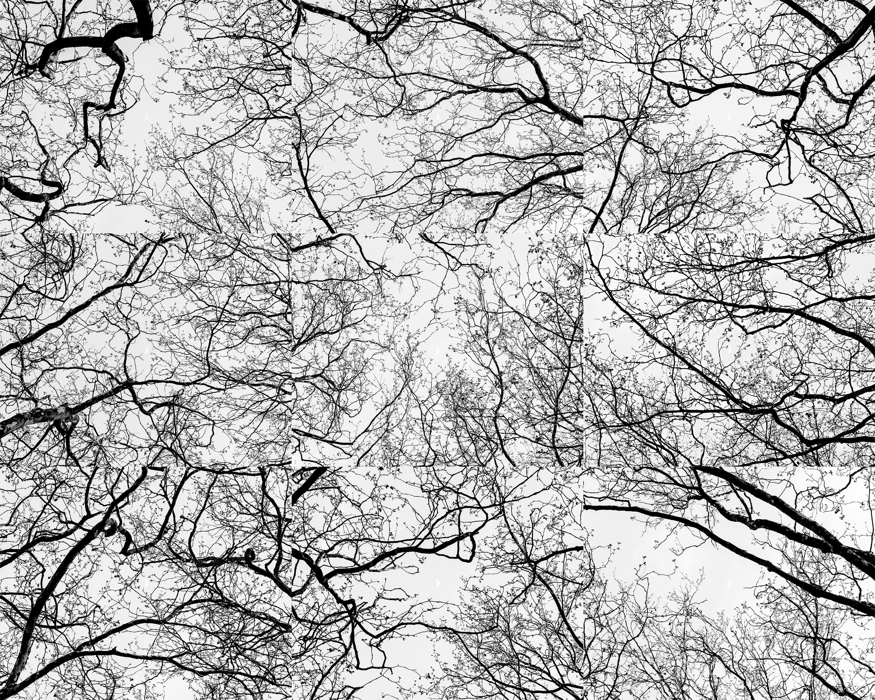 A photograph work ‘Positioning’ by Shigeo Arikawa, Japanese artist based in Amsterdam. アムステルダム在住の日本人アーティスト、有川滋男による写真作品「Positioning」