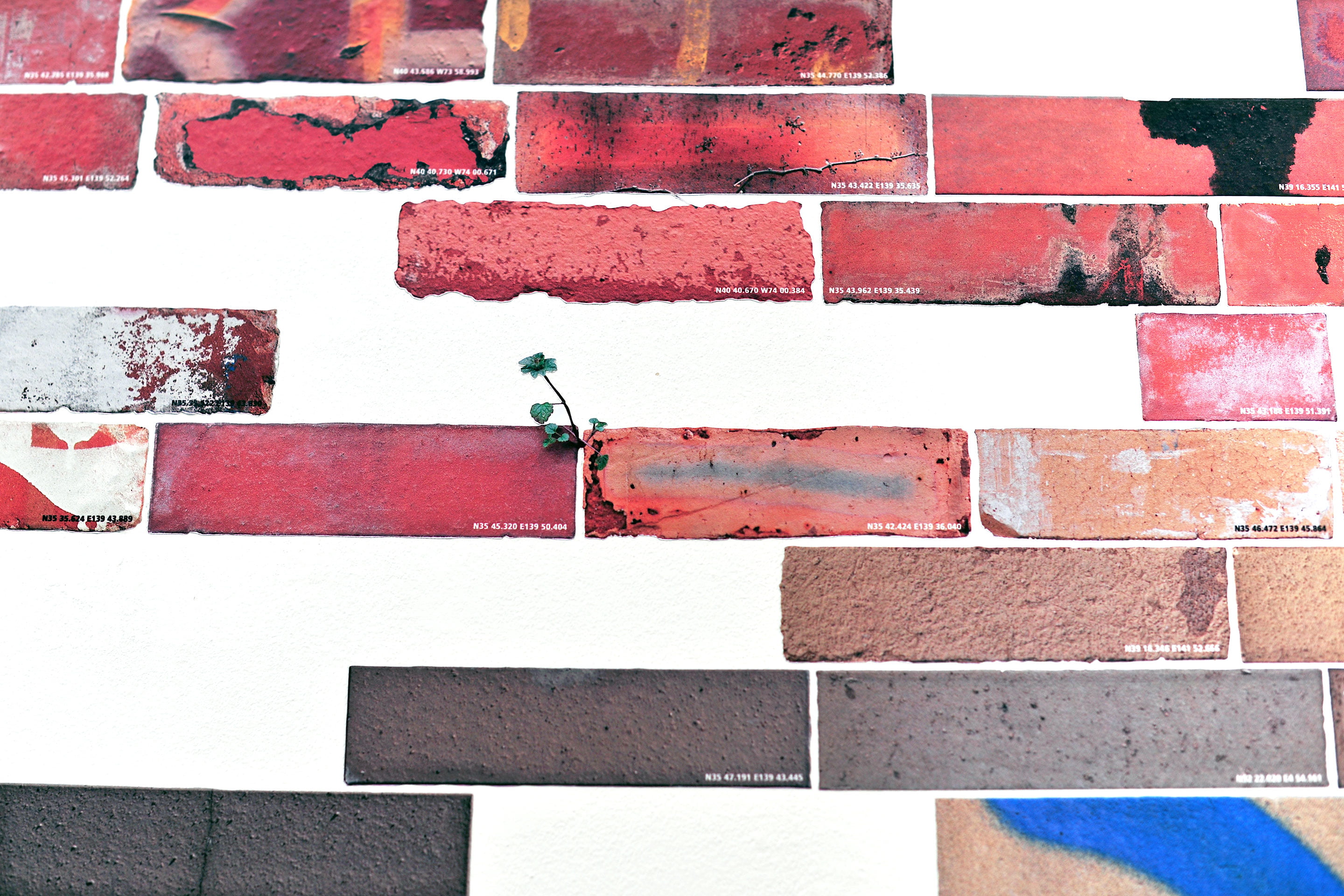 A video installation work ‘Somewhere standing here is anywhere.’ by Shigeo Arikawa, Japanese artist based in Amsterdam. アムステルダム在住の日本人アーティスト、有川滋男によるビデオインスタレーション作品「ここに立つ何処かは何処か」